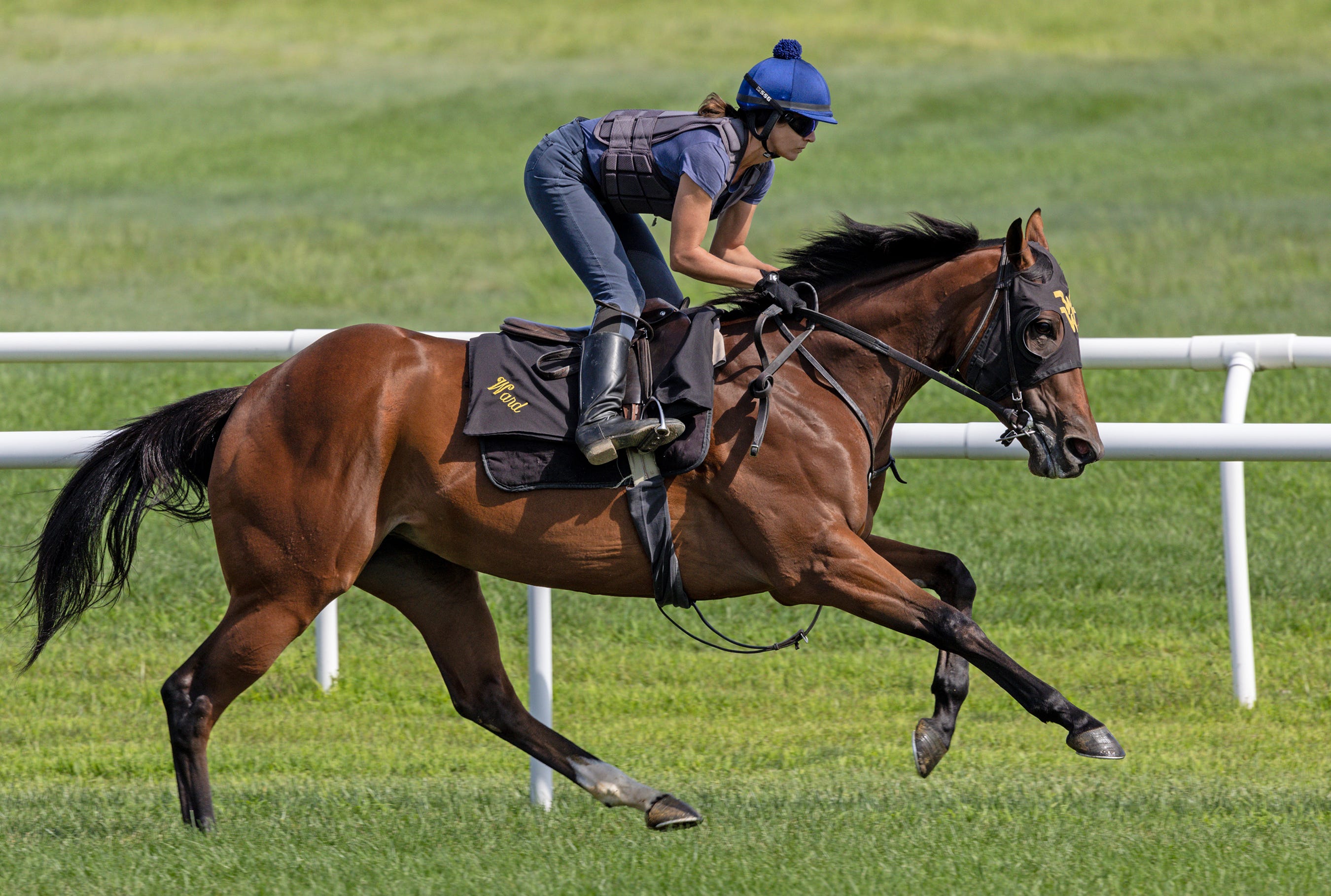 Ward, Orseno hoping weather cooperates for Galway Stakes